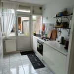 Rent 4 bedroom house of 108 m² in Drents Dorp