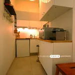 Rent 1 bedroom apartment of 29 m² in paris