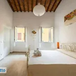 Rent 3 bedroom apartment of 65 m² in Florence