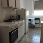 Rent 1 bedroom apartment in Szeged