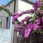 Rent 4 bedroom house of 180 m² in Pescara