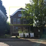 Rent 3 bedroom apartment of 115 m² in Colijnsplaat