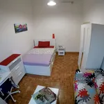 Rent a room in florence