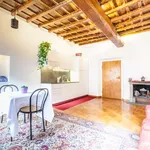 Rent 1 bedroom apartment of 50 m² in rome