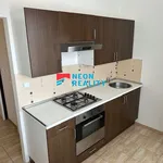 Rent 1 bedroom apartment of 43 m² in Frýdlant nad Ostravicí