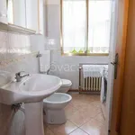 Rent 1 bedroom apartment of 14 m² in Modena