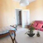 Rent 3 bedroom apartment of 70 m² in Torino