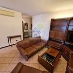 Rent 3 bedroom apartment of 100 m² in Cremona