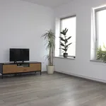 Rent 1 bedroom apartment of 43 m² in Zlín