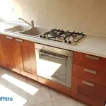 Rent 3 bedroom apartment of 80 m² in Rome