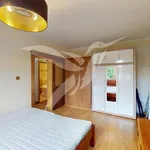 Rent 1 bedroom apartment of 36 m² in Pilsen