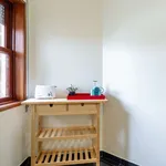 Rent 3 bedroom apartment in porto