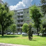 Rent 3 bedroom apartment of 92 m² in San Donato Milanese