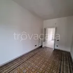 Rent 2 bedroom apartment of 60 m² in Lodi