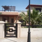 Rent 1 bedroom house in Fuerteventura']