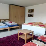 Miete 1 Schlafzimmer wohnung von 60 m² in Freiburg im Breisgau