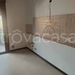 Affitto 5 camera appartamento di 180 m² in Padova