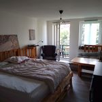 Rent 1 bedroom apartment of 34 m² in Dresden
