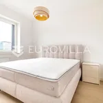 Rent 3 bedroom apartment of 130 m² in Zagreb