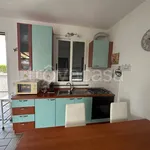 Rent 3 bedroom apartment of 93 m² in Grosseto