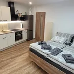 Rent 1 bedroom apartment in Zlín