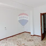 Affitto 7 camera appartamento di 130 m² in Palermo