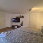 Rent 1 bedroom apartment of 45 m² in Kaiserslautern