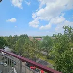 Rent 3 bedroom apartment of 80 m² in Turin