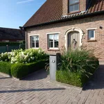 Rent 3 bedroom house of 1 m² in Dentergem