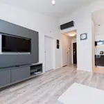 Rent 1 bedroom apartment in krakow