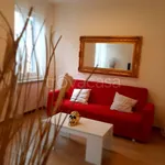 Rent 3 bedroom apartment of 75 m² in Firenze