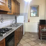 Rent 3 bedroom house of 70 m² in Seravezza