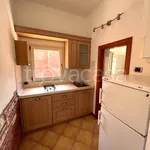 Rent 1 bedroom apartment of 40 m² in Verona