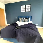 Rent 1 bedroom flat in Brighton