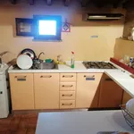 Rent 1 bedroom house of 25 m² in Pisa