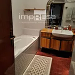 Rent 4 bedroom apartment of 110 m² in Treviso