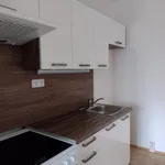 Pronajměte si 1 ložnic/e byt o rozloze 47 m² v Brno