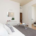 Rent 3 bedroom apartment in Firenze