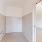 Rent 3 bedroom apartment of 90 m² in Roma