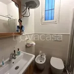 Rent 1 bedroom apartment of 30 m² in Milano