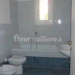 Rent 3 bedroom apartment of 90 m² in Bologna