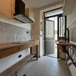 Rent 1 bedroom apartment of 20 m² in Torino