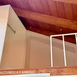 Rent 4 bedroom apartment of 101 m² in Bologna