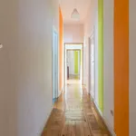 Alquilar 7 dormitorio apartamento en Madrid