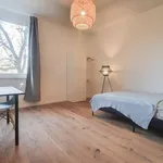 Rent a room in berlin