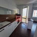 Rent 1 bedroom apartment of 43 m² in Olomouc