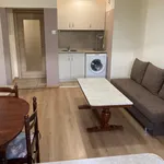 Rent 3 bedroom apartment of 75 m² in Гагарин