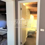 Rent 4 bedroom apartment of 110 m² in Vicenza