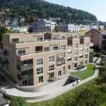 Rent 2 bedroom apartment of 55 m² in Geroldswil