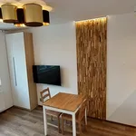 Rent 1 bedroom apartment in Jablonec nad Nisou